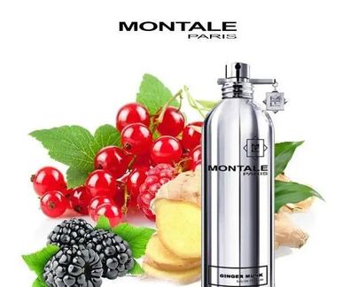 Montale Ginger Musk - Parfumprobe/ Zerstäuber