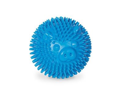 Nobby TPR Noppen Ball "Pig"blau 6,5 cm Hund Spielzeug Kauen schwimmt