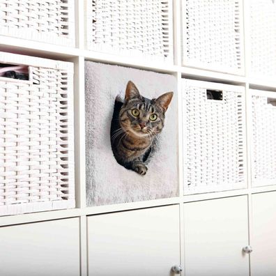 Trixie Katzen Kuschelhöhle Plüsch für Katzen für IKEA Regal Kallax Expedit