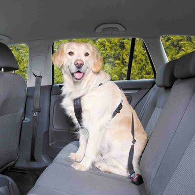 KFZ Sicherheitsgurt Auto Sicherheitsgeschirr Hundegeschirr Hunde Anschnallgurt