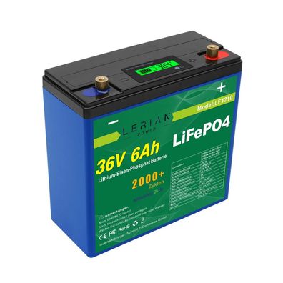 LiFePO4 Akku 36V 6Ah 10A 216Wh Lithium-Eisen-Phosphat Batterie für Camping Boot ...
