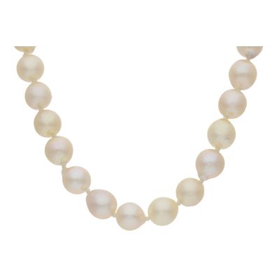 JuwelmaLux Perlenkette 375/000 (9 Karat) Gold- und Weißgold mit Akoya ...