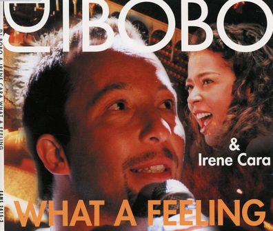 Maxi CD Cover DJ Bobo & Irene Cara - What a Feeling