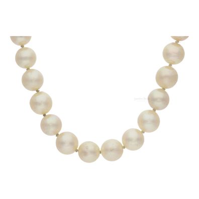 Perlenkette mit Akoya Zuchtperlen mit 585/000 Gold Verschluss, getragen ...
