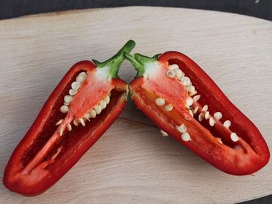 Chili Jalapeno Deadpool Pepper - 5+ Samen - Seeds - samenfeste Sorte Ch 245