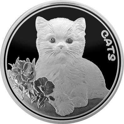 Silbermünze Fiji Fidschi Cats Katze 2022 1 oz 999 Prooflike 2. Ausgabe