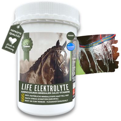 Elektrolyte & Mineralien Pferd, Energie & Gesundheit für`s Pferd