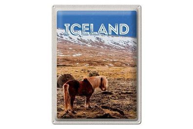 Blechschild 40 x 30 cm Urlaub Reise Iceland Pony