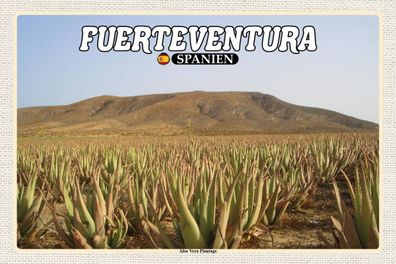 Blechschild 18x12 cm - Fuerteventura Spanien Aloe Vera Plantage
