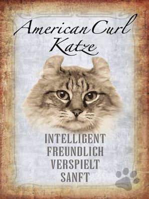 Blechschild 30x40 cm - American Curl Katze
