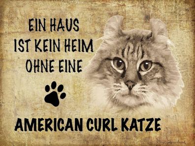 Holzschild 30x40 cm - American curl Katze