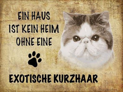 Holzschild 30x40 cm - exotische Kurzhaar Katze