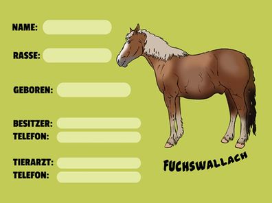 Blechschild 30x40 cm - Pferd Fuchswallach Name Besitzer Rasse