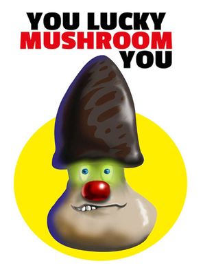 Blechschild 30x40 cm - You lucky mushroom you