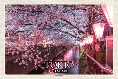 Blechschild 18x12 cm - Tokio Japan Kirschblüten Bäume Fluss