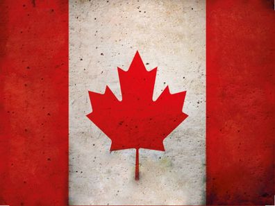 vianmo Blechschild 30x40 cm Kanada Fahne Flagge