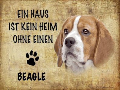 Blechschild 30x40 cm - Beagle Hund ohne kein Heim