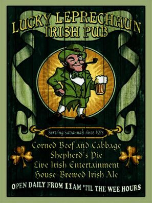 Blechschild 30x40 cm - Bier Irish Pub open daily from 11am
