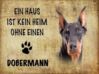 Blechschild 30x40 cm - Dobermann Hund ohne kein Heim