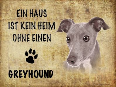 Blechschild 30x40 cm - Greyhound Hund ohne kein Heim