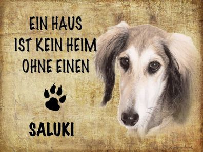 Holzschild 30x40 cm - Saluki Hund ohne kein Heim