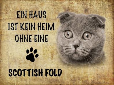 Holzschild 30x40 cm - Scottish Fold Katze