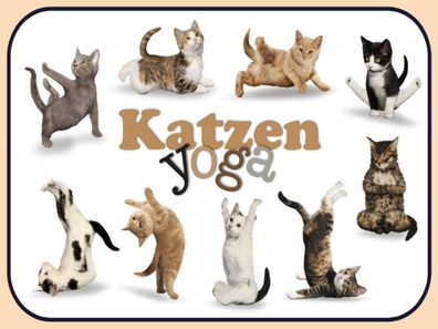 Blechschild 30x40 cm - Katze Katzen Yoga