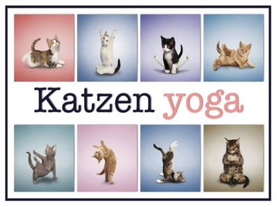 Holzschild 30x40 cm - Katze Katzen Yoga