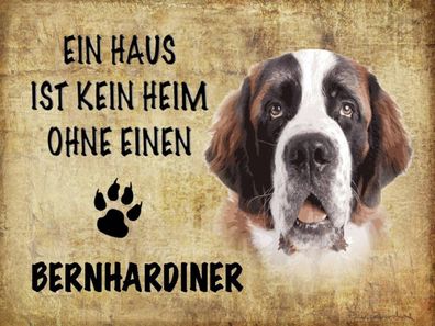 Blechschild 30x40 cm - Bernhardiner Hund ohne kein Heim
