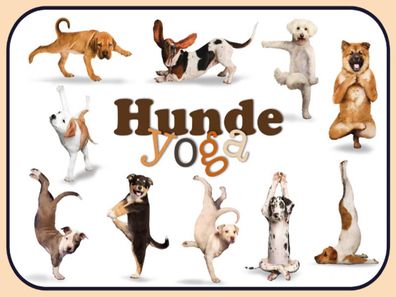 Holzschild 30x40 cm - Katze Hunde Yoga