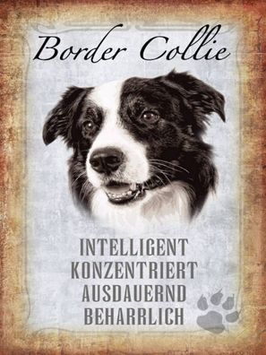 Blechschild 30x40 cm - Border Collie Hund