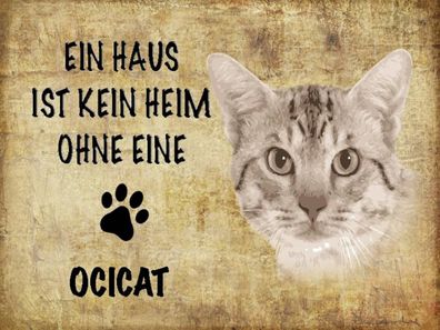 Holzschild 30x40 cm - Ocicat Katze ohne kein Heim