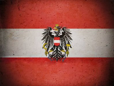 vianmo Blechschild 30x40 cm Österreich Fahne Flagge