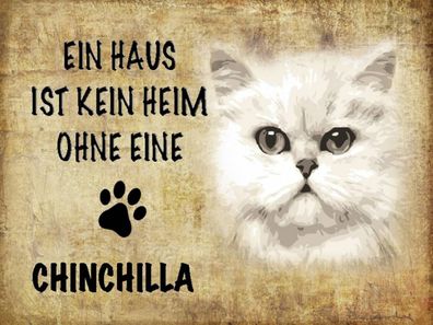 Blechschild 30x40 cm - chinchilla Katze ohne kein Heim