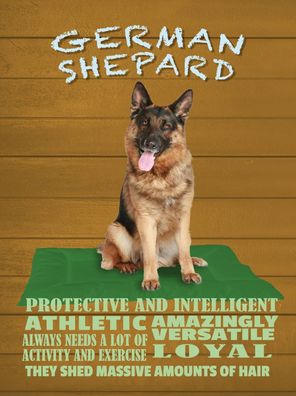 Holzschild 30x40 cm - German Shepard Hund athletic