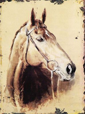 Holzschild 30x40 cm - Retro Portrait Pferd Kopf