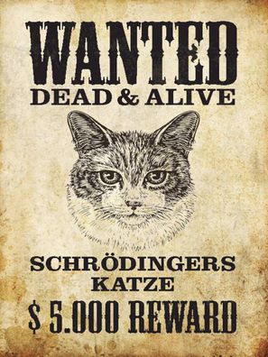 Holzschild 30x40 cm - Tiere wanted Schrödingers Katze