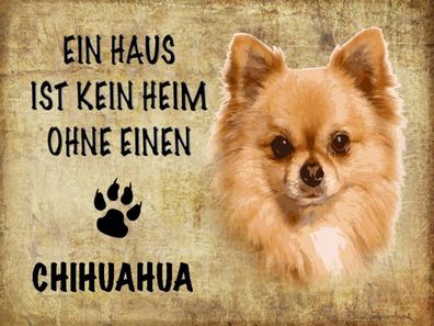 Blechschild 30x40 cm - Chihuahua Hund ohne kein Heim