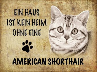 Holzschild 30x40 cm - American Shorthair Katze