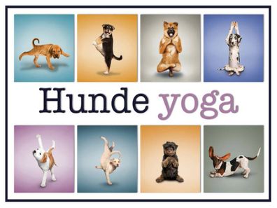 Holzschild 30x40 cm - Katze Hunde Yoga