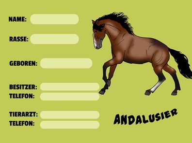 Blechschild 30x40 cm - Pferd Andalusier Name Besitzer Rasse