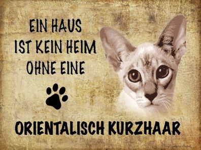 Blechschild 30x40 cm - orientalisch Kurzhaar Katze