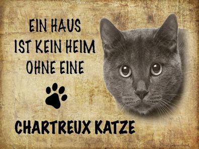 Holzschild 30x40 cm - Chartreux Katze