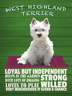 Blechschild 30x40 cm - West Highland Terrier Hund loyal
