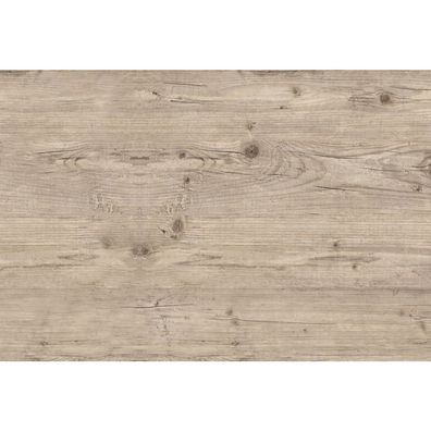 Tischplatte Washington Pine 110x70 cm