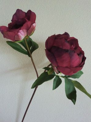 Pfingstrose künstlich, 58 cm hoch, Päonie, Farbe Burgund, Seidenblumen