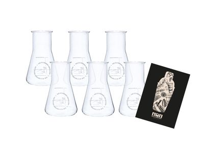 The Illusionist Dry Gin Glas Gläser Set - 250ml Erlenmeyerkolben x 6