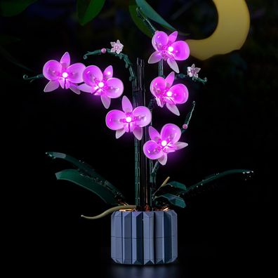 Lego LED Licht Kit fér Lego 10311 Orchideen Botanische Blumen Beleuchtung Neu