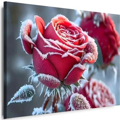 Bilder Leinwand Blumen Rose Natur Wandbilder Kunstdruck XXL!!!