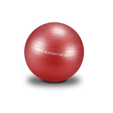 Ball Professional Bureba® Ø 75 cm rot